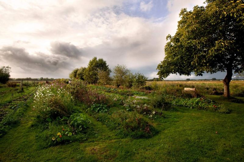 Voedselpark Amsterdam in de Lutkemeerpolder